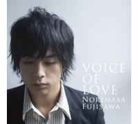 Voice of Love [Import]