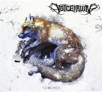 Voice of Ruin - Consumed [Import]