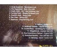 Voices Compilation (Rock Ahrd Presents) [Import]