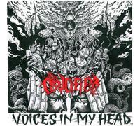 Voices In My Head
