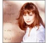 Voices in The Wind [Import]