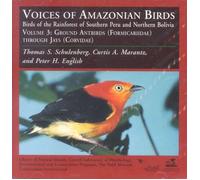 Voices of Amazonian Birds, Vol. 3: Ground Antbirds Through Jays [Import]