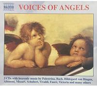 Voices Of Angels
