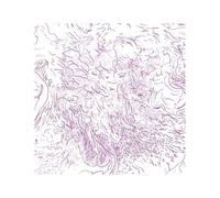 Voices Of Beshara - Cd Album