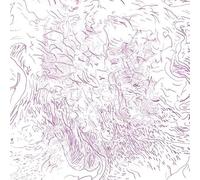 Voices of Bishara - 数量限定スペシャルプライス盤 - [帯・解説書付 / 国内流通仕様盤CD] (BRBW257X)