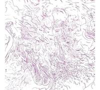 Voices of Bishara [国内流通仕様盤 解説書付き] (BRBW257)
