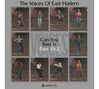 Voices of East Harlem - Can You Feel It [Import]
