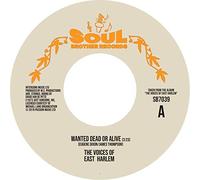Voices of East Harlem,the - Wanted Dead Or Alive/Can You Feel It