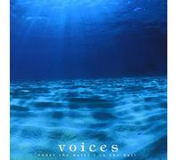 Voices Under the Water [Import allemand]