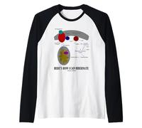 Voici Comment Je Peux hiberner la thermogénine Biologie moléculaire Manche Raglan