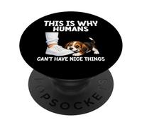 Voici Pourquoi Les Humains ne Peuvent Pas Avoir de Belles Choses Amusantes pour Chiens de Compagnie PopSockets PopGrip Adhésif