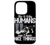 Voici Pourquoi Les Humains ne Peuvent Pas Avoir de Belles Choses Amusantes pour Chiens de Compagnie Coque pour iPhone 14 Pro