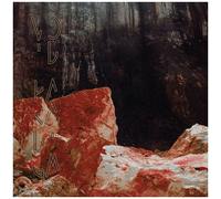 Void Paradigm - Ultime Pulsation / Demain Brule [Cd]
