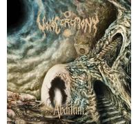 VoidCeremony Abditum (Vinyl) 12" Album