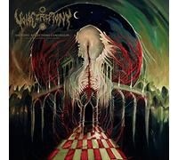 VOIDCEREMONY - ENTROPIC REFLECTIONS CONTINUUM/DIMENSIONAL UNRAVEL VINYL LP NEUF
