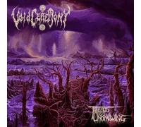 Voidceremony - Threads Of Unknowing [Compact Discs]