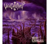 Voidceremony - Threads Of Unknowing [New CD]