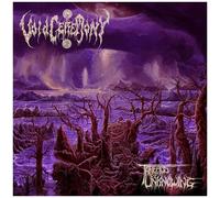 Voidceremony - Threads Of Unknowing [Vinyl Lp] Colored Vinyl