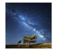 Voie lactée, ciel étoilé en Crimée Poster 100 x 100 cm Tableaux Décoration murale