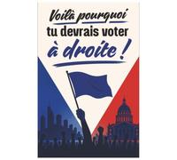 Voilà pourquoi tu devrais voter à droite !: Spoiler : ça ne marchera pas !