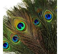 VoilaLove 36Pcs Plumes Naturelles de Paon avec des Yeux de Plumes de Queue de Paon 16-20 Pouce (40-50cm) pour la Fête de Mariage Arts and Crafts Home Decorations (36)