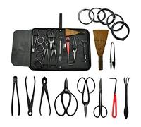 Voilamart Ensemble d'outils pour bonsaï - Kit de 16 pièces avec 4 ciseaux, 3 coupe-feuilles, 1 crochet, 1 râteau, 1 balai, 5 fils - Cadeaux de jardinage pour femmes et hommes