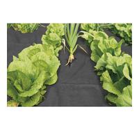 Voile de paillage 30g