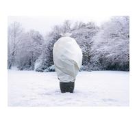 Voile d'hivernage 30 g/m² 2x10m Polypropylène Blanc