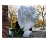 Voile d'hivernage 30gr/m² 2x5m en polypropylène blanc G