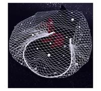 Voile en Maille Sparkly Rhinestone Crystal Birdcage Veil Headband Vintage Wedding Bridal(WHITE)