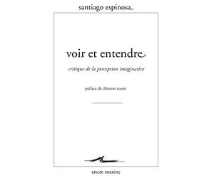 Voir et entendre: Critique de la perception imaginative