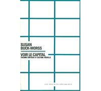 Voir le capital: Théorie critique et culture visuelle