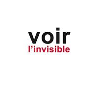 Voir l'invisible: Comprendre - Agir. Tome 2