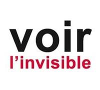 Voir l'invisible: Comprendre - Agir. Tome 2