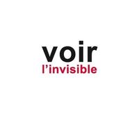 Voir L'invisible - Tome 2, Comprendre, Agir