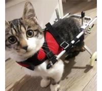 Voiture de rééducation pour animal de compagnie, pour handicap, fauteuil roulant, fracture paralysée (L)