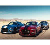 Voiture de Sport sur autoroute 1000(38x26cm) pièces de Puzzles - adapté aux Adultes et aux Enfants de 14 Ans et Plus, Un pour Les Amateurs de Voitures