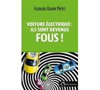 Voiture électrique : ils sont devenus fous !