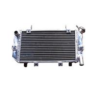 Voiture pour radiateur Aluminium pour radiateur pour 1996-1999 pour Yamaha TRX850 TRX 850 1996-1999