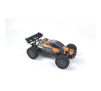 Voiture RC Rookie Fighter Buggy - RTR