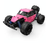 Voiture Télécommandée 4WD Haute Vitesse 40km/h Batterie Longue Durée 80m Portée Rose YONIS