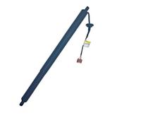 Voiture Vérin Coffre Oe: 905616Rs0B 905606Rs0B Convient Pour Nissan Pour X-Trail 2022 Tige De Support De Hayon Électrique Jambe De Force Hydraulique De Hayon Amortisseur Hayon Électrique(Lh)