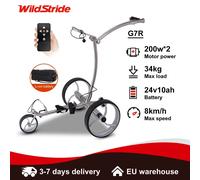 Voiturette de golf électrique Wildstride télécommandée, batterie 24V 10Ah, autonomie 20 km, vitesse 8 km/h, moteurs doubles 200W, chariot de golf G7R Argent