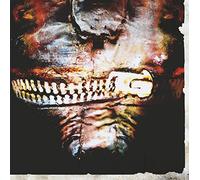 Slipknot – Vol. 3 : The Subliminal Verses – CD – Roadrunner Records