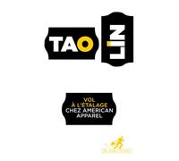 Vol à l'étalage chez American Apparel - Tao Lin - Au diable vauvert - broché - Roman