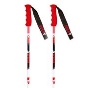 Vola Bâtons Gs Carbon