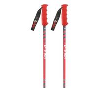 Vola Bâtons Gs Carbon Nordic Sr Sl Alu-carbone Coupe Du Monde