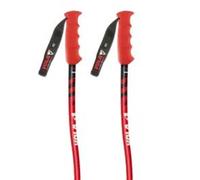 Vola Bâtons Gs Senior Nordic Sr Sl Alu-carbon World Cup Aluminium