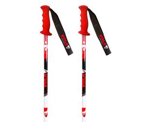 Vola Bâtons Sl Carbon