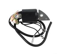 Volakebeing Bobine d'allumage de rechange compatible avec G150 pour moteurs G200 G300, pour une construction en métal durable pour une étincelle fiable et une combustion améliorée, pour une